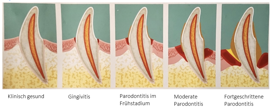 Bildschirmfoto 2025-10-29 um 13.00.01