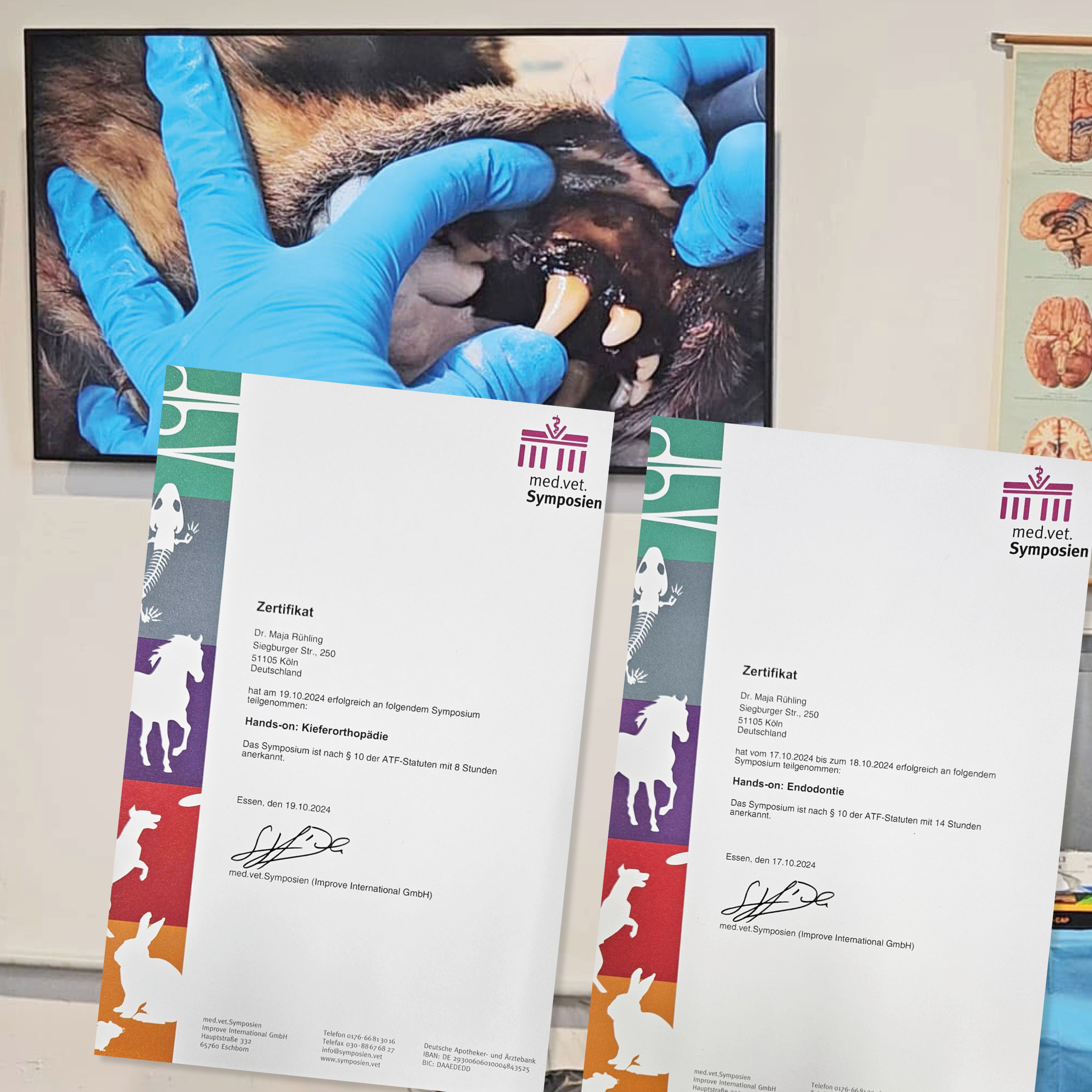 Frau Dr. Rühling bei einem Seminar zur Zahnheilkunde