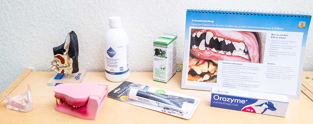 Verschiedene Pflegeprodukte für die Zahnprophylaxe bei Tieren