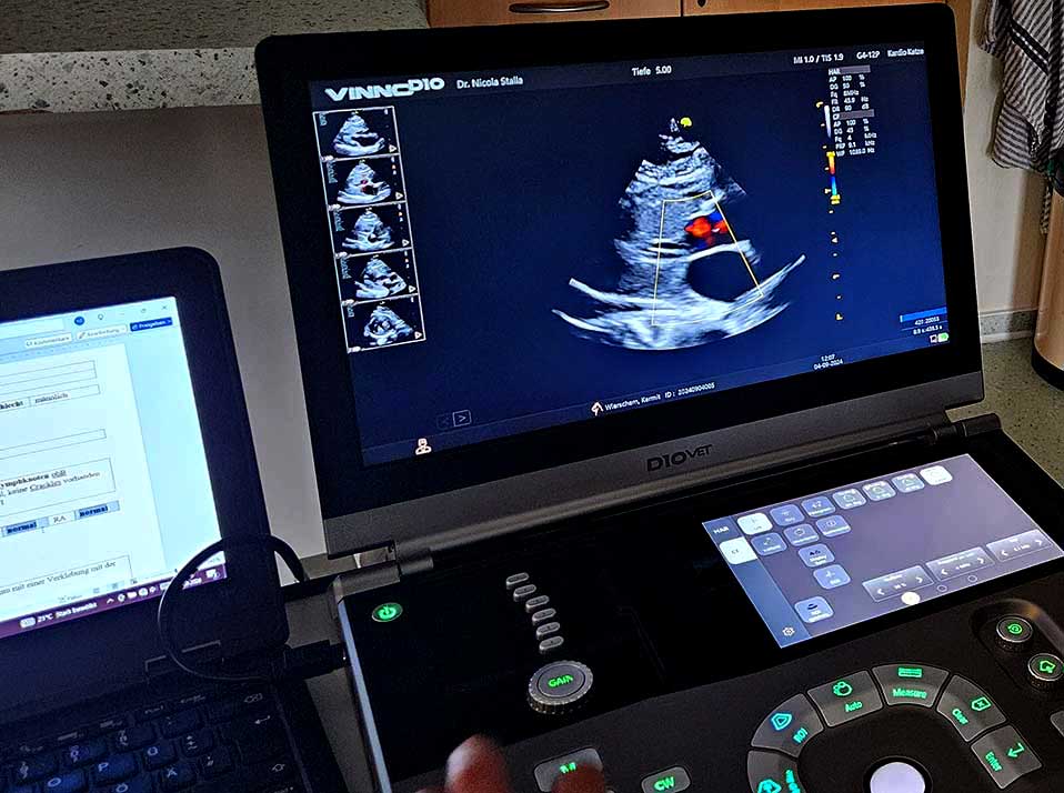 tierarztpraxis-poll-herzultraschall-bildschirm PC Bildschirm Herzultraschall