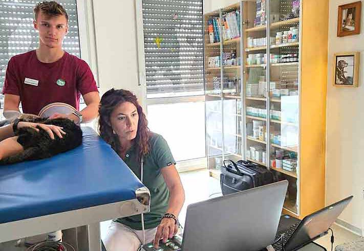 Herzultraschall bei Katze mit Ärztin und TMFA