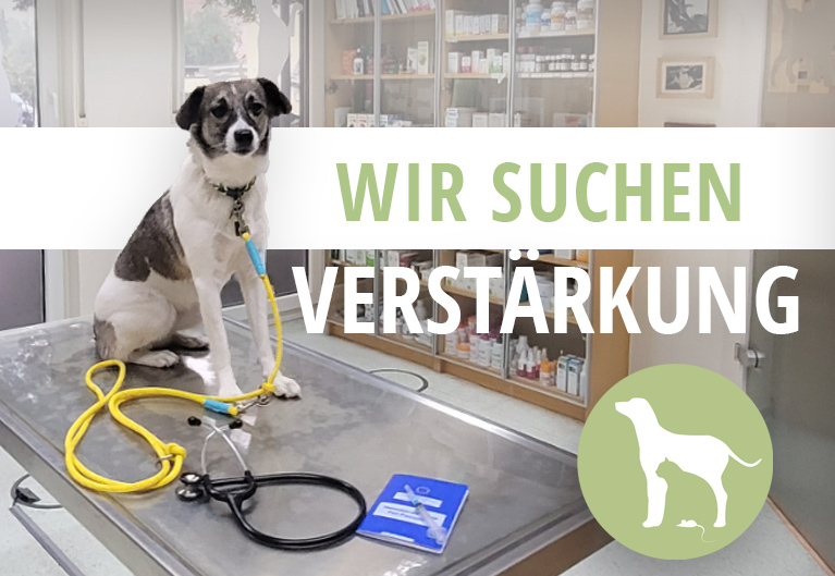 tierarztpraxis-poll-wir-stellenangebot Stellenanzeige
