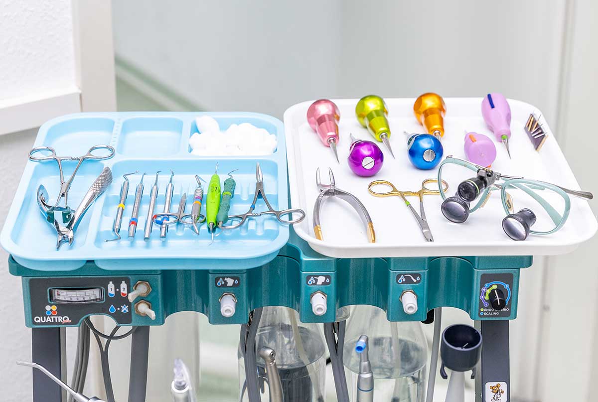 Zahnbesteck Wagen für professionelle Zahnbehandlungen bei Hunden und Katzen