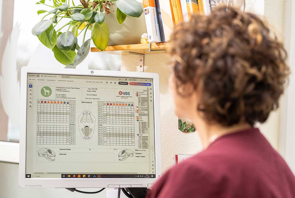 Zahnmonitoring auf einem PC-Bildschirm, auf den Frau Dr. Rühling sieht, sie ist von hinten zu sehen